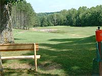 Golfing