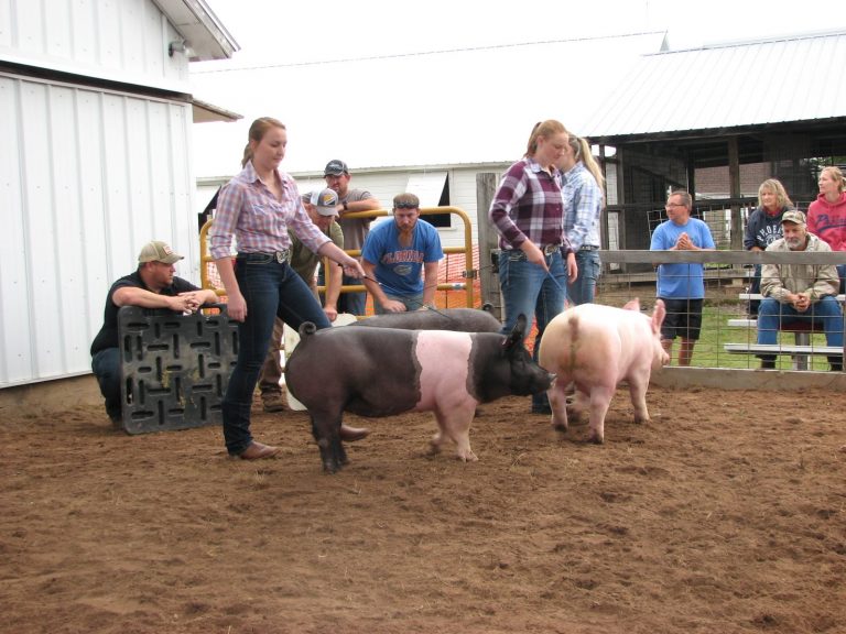 Rusk County Junior Fair Rusk County Wisconsin Rusk County Wisconsin