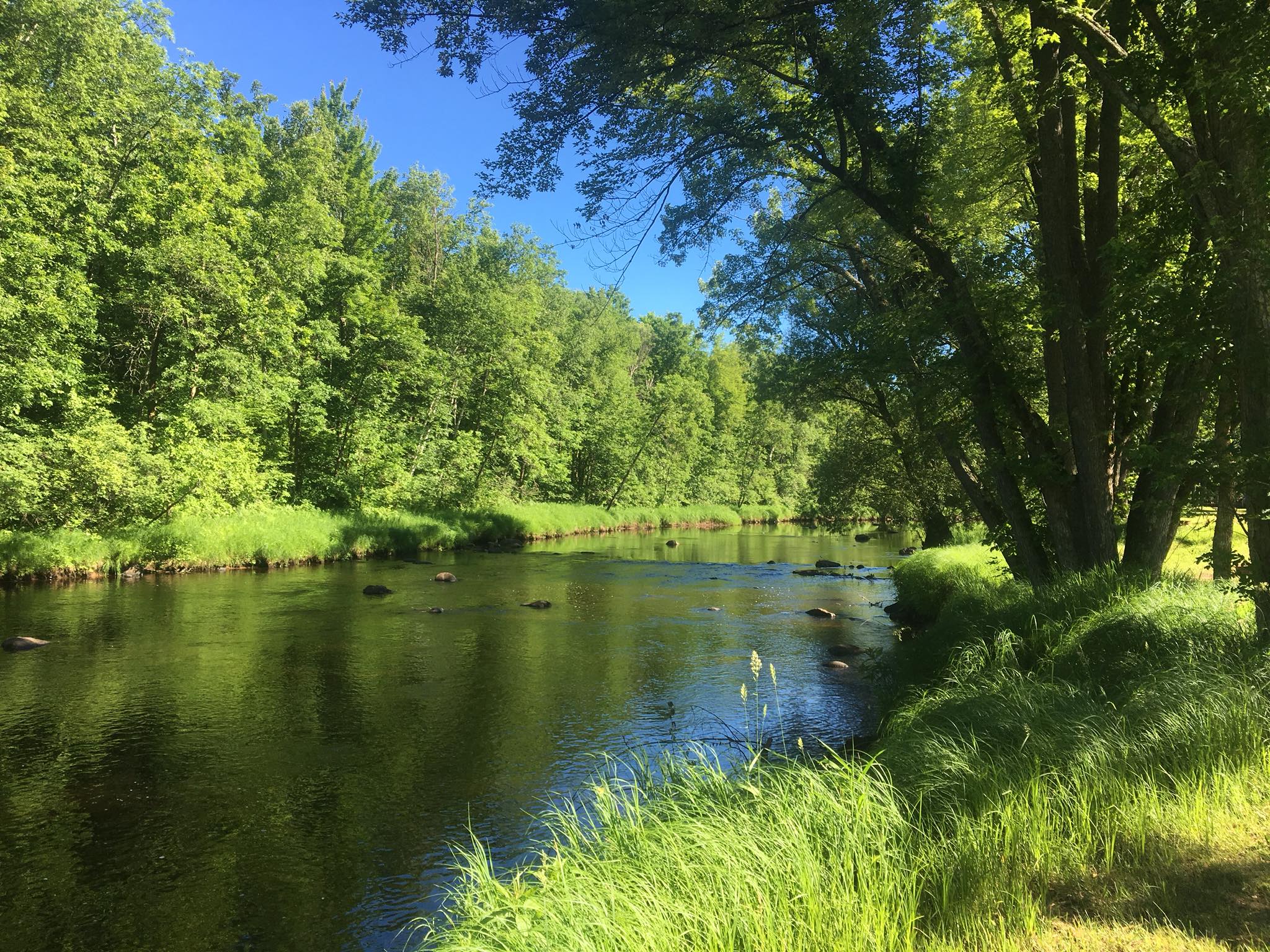 Thornapple River Campground - Rusk County Wisconsin : Rusk County Wisconsin