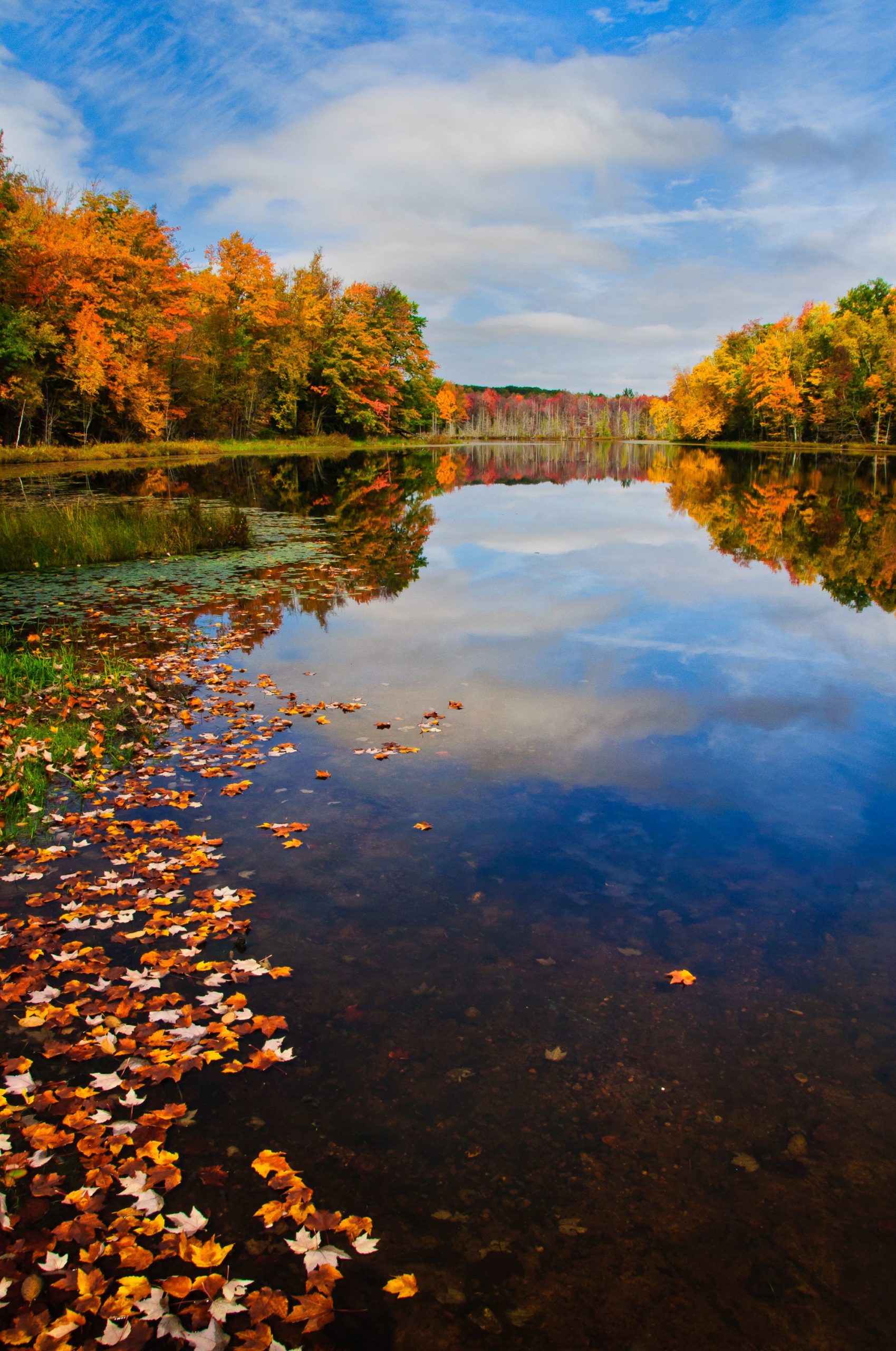 perch lake rusk county wi in fall