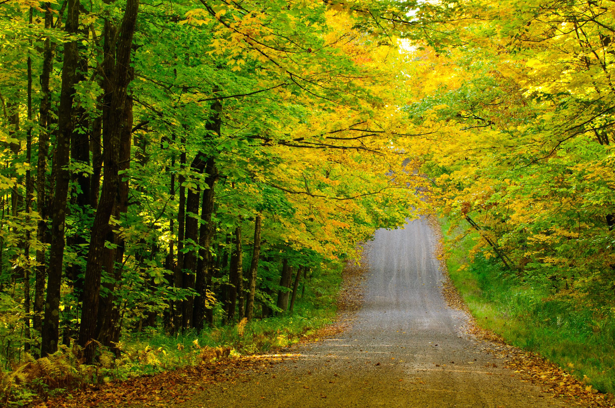 fall road in blue hills rusk county wi