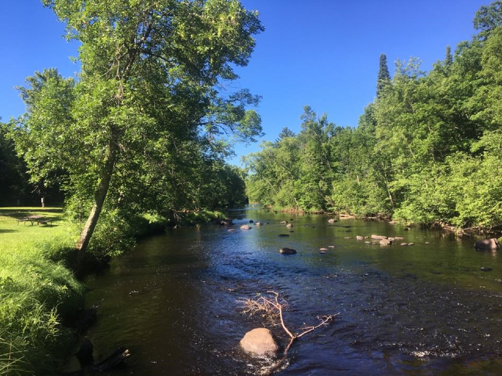 Thornapple River Campground | Rusk County Wisconsin : Rusk County Wisconsin