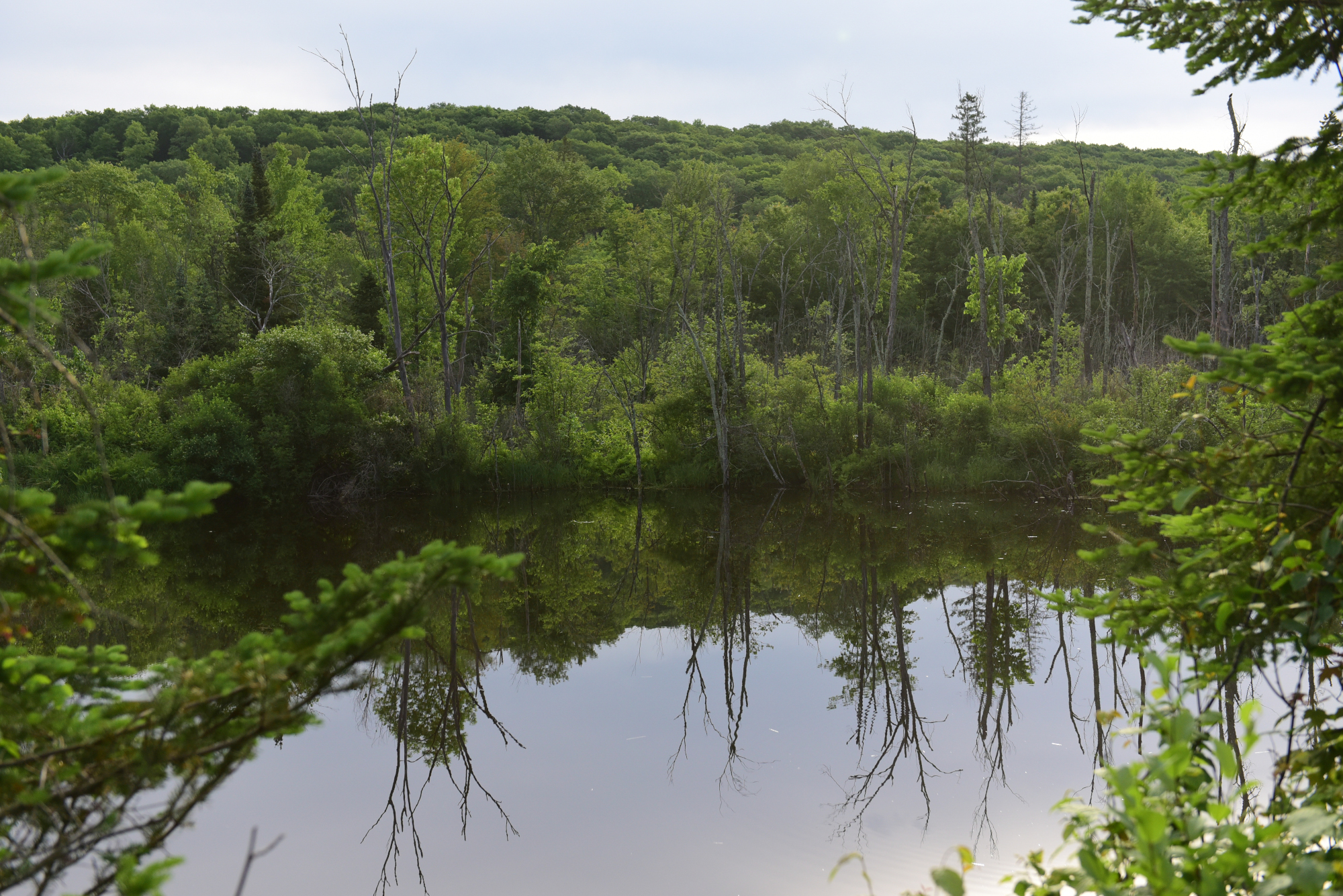 A Photographic Tour Of The Blue Hills Rusk County Wisconsin Rusk County Wisconsin 4027