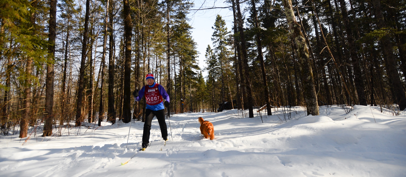 Blue Hills Trails System | Rusk County Wisconsin : Rusk ...